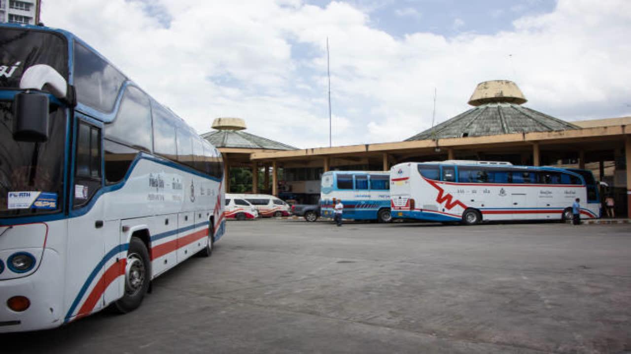 buses